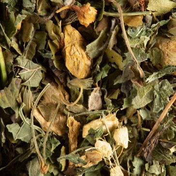 Tisane Magic Ginger