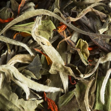 Thé Blanc Poire Marron Glacé