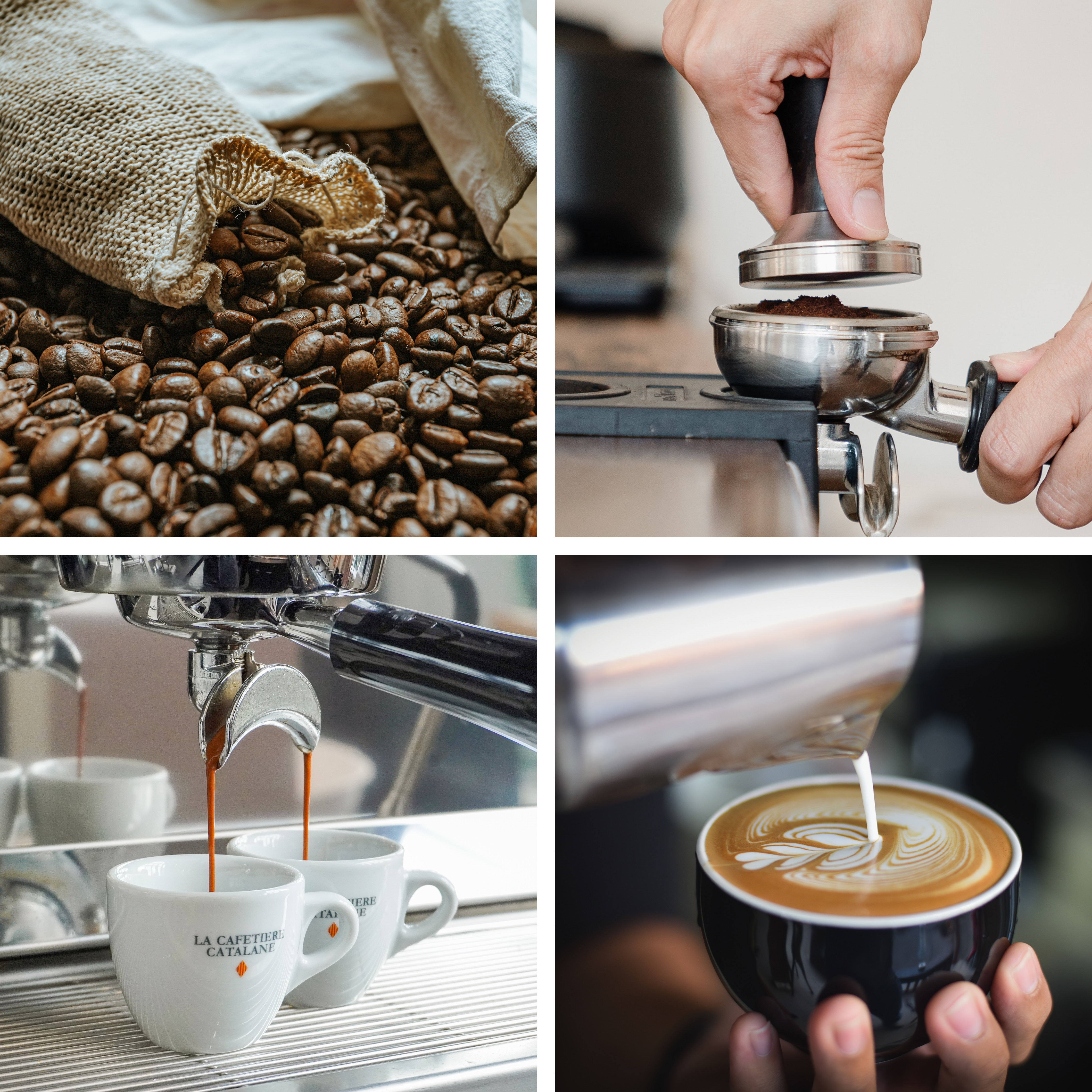 Barista • La Cafetière Catalane