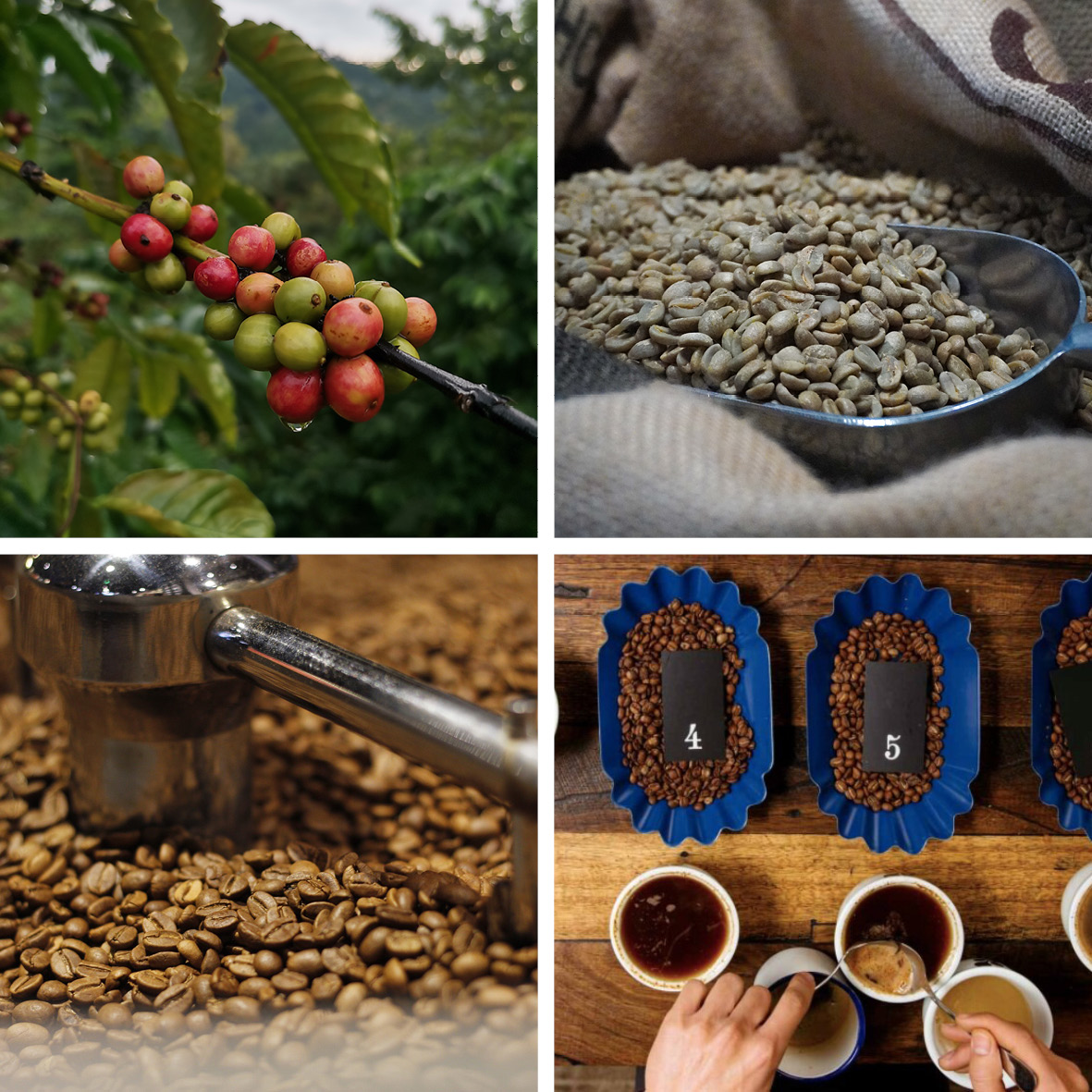 Atelier Saveurs du Café • La Cafetière Catalane