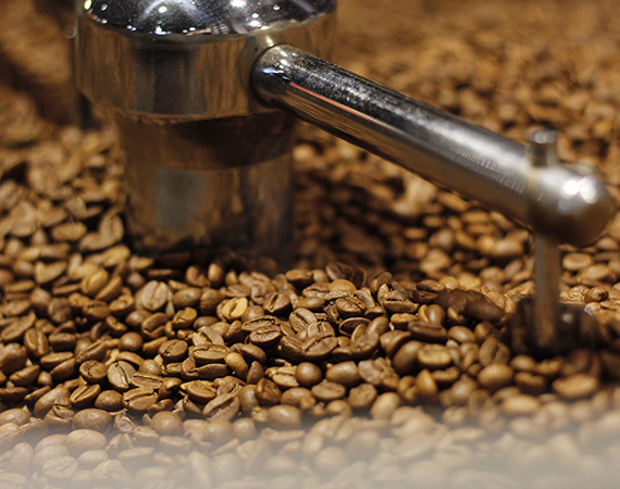 Boutique AgroSud Perpignan • La Cafetière Catalane