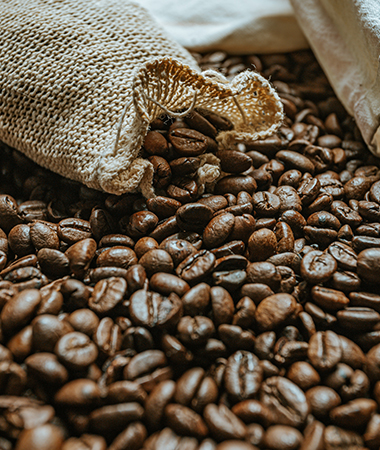 Qui sommes nous ? • La Cafetière Catalane